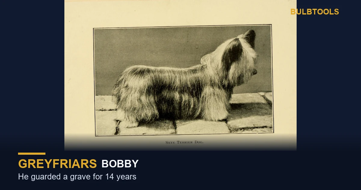 Greyfriars Bobby, the loyal Skye Terrier of Edinburgh